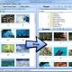 SortPix XL - Photo Organizing Software